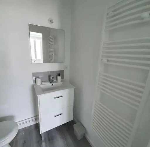 Sully Sur Loire : Appartement Centre Ville